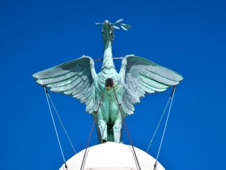 Liver Bird