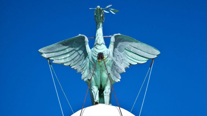 Liver Bird