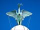 Liver Bird