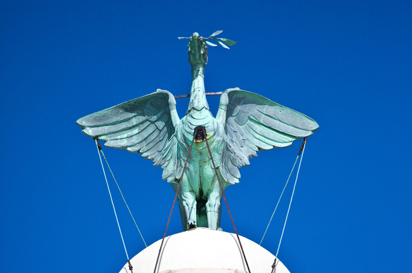 Liver Bird