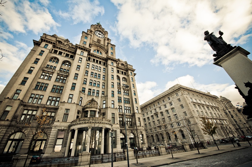 Liver building